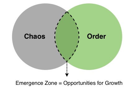 Chaos Order Chaordic